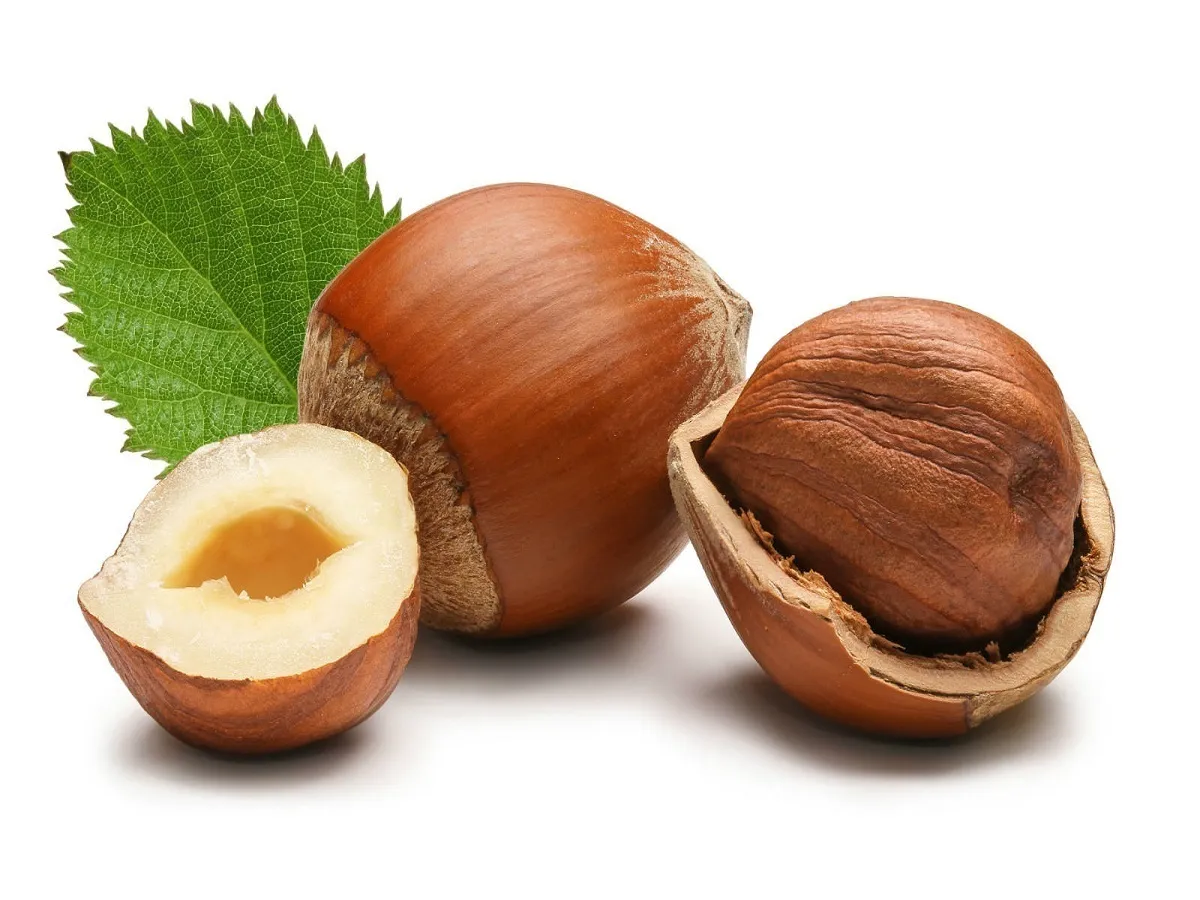 یائسگی