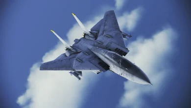 F ۱۴B Bombcat