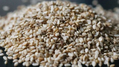 خورشت فسنجان بدون گردو