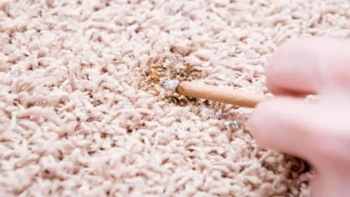 از این ترفندها برای رفع سوختگی فرش استفاده کنید3