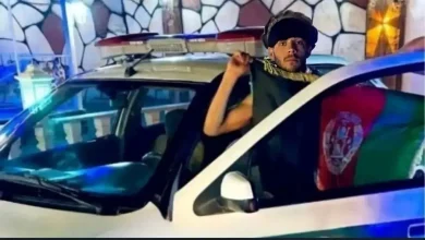 افغانستانی