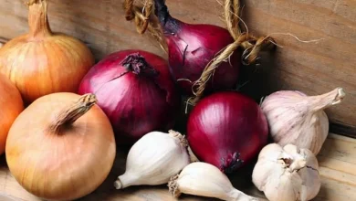 چرت بعد از ظهر