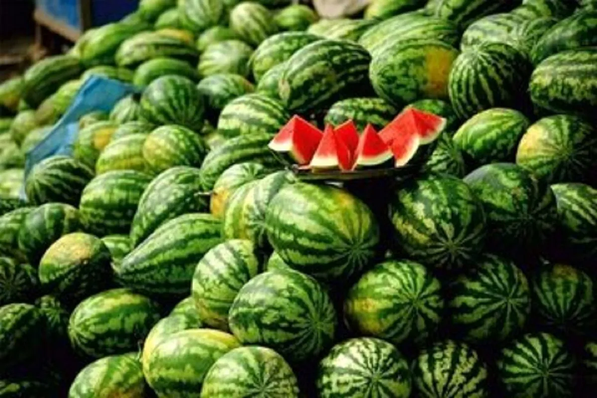 هندوانه‌