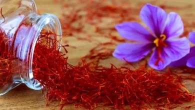 با این روش زعفرانت چند برابر رنگ می‌دهد4