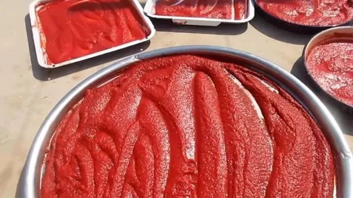 رب خانگی با آفتاب