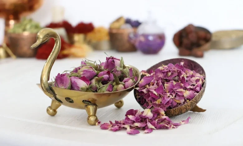 گل محمدی