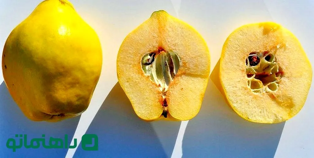 میوه به