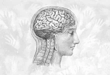 کوچک شدن مغز