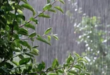 رگبار باران