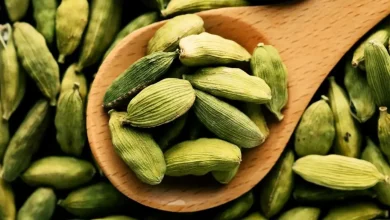 بوی بد دهان