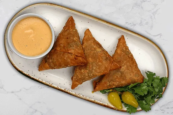 طرز تهیه سمبوسه با گوشت چرخ کرده فوری و آسان1