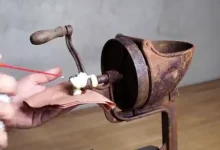 چرخ گوشت
