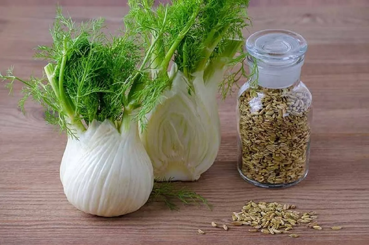 فواید بی‌نظیر این داروی گیاهی برای سلامتی چشم