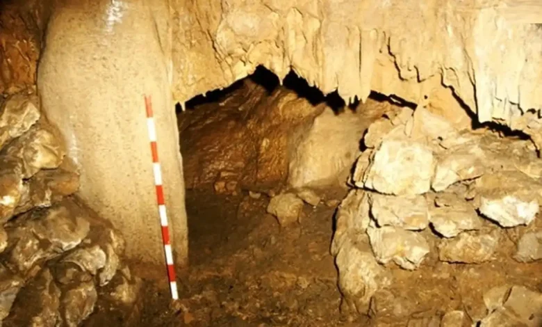 معمای گورستان 5 هزارساله