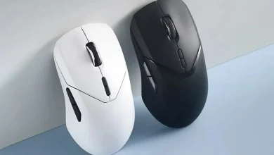 فلش