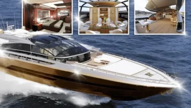 گران‌ترین قایق تفریحی جهان ساخته شده از استخوان دایناسور با روکش طلاعکس 7