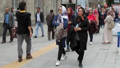 گردشگر ایرانی