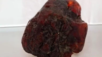 گنج 1 میلیون دلاری