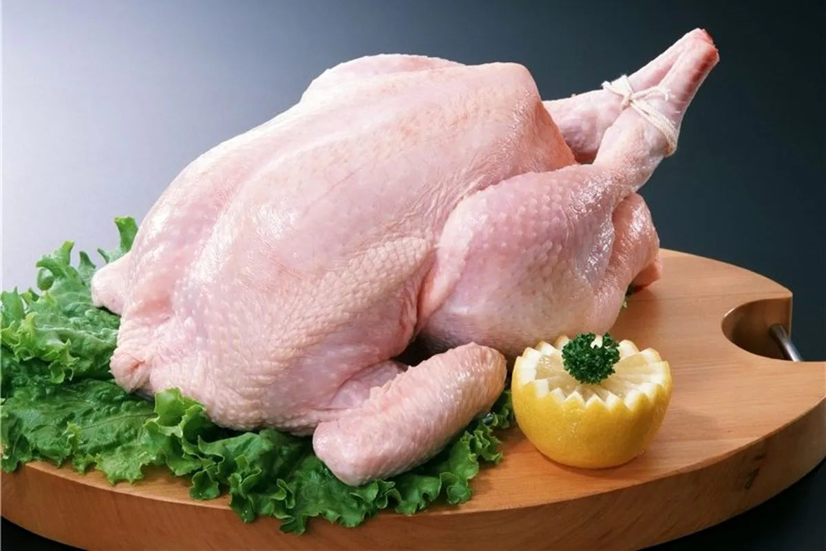 گوشت بوقلمون