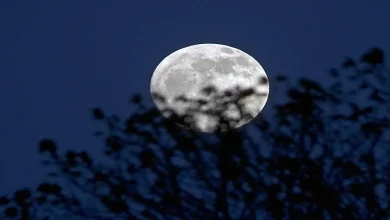 ماه