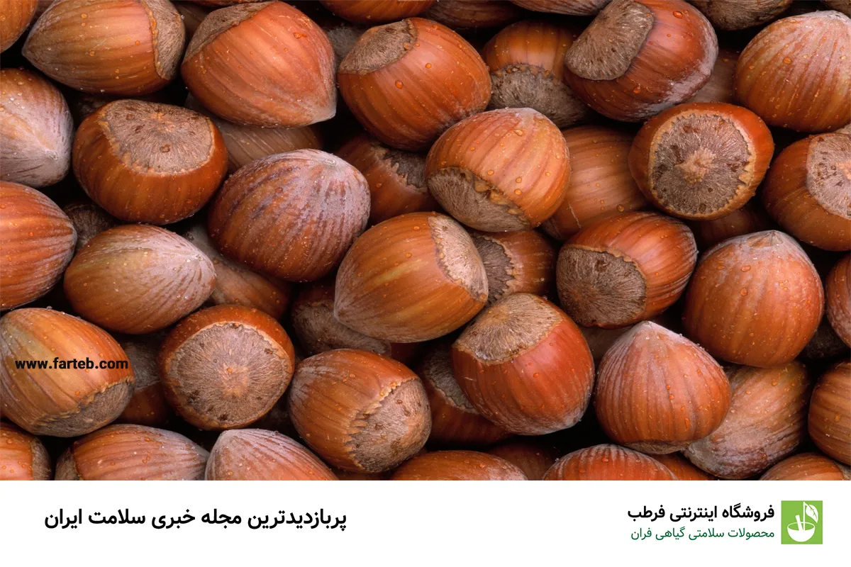 فندق