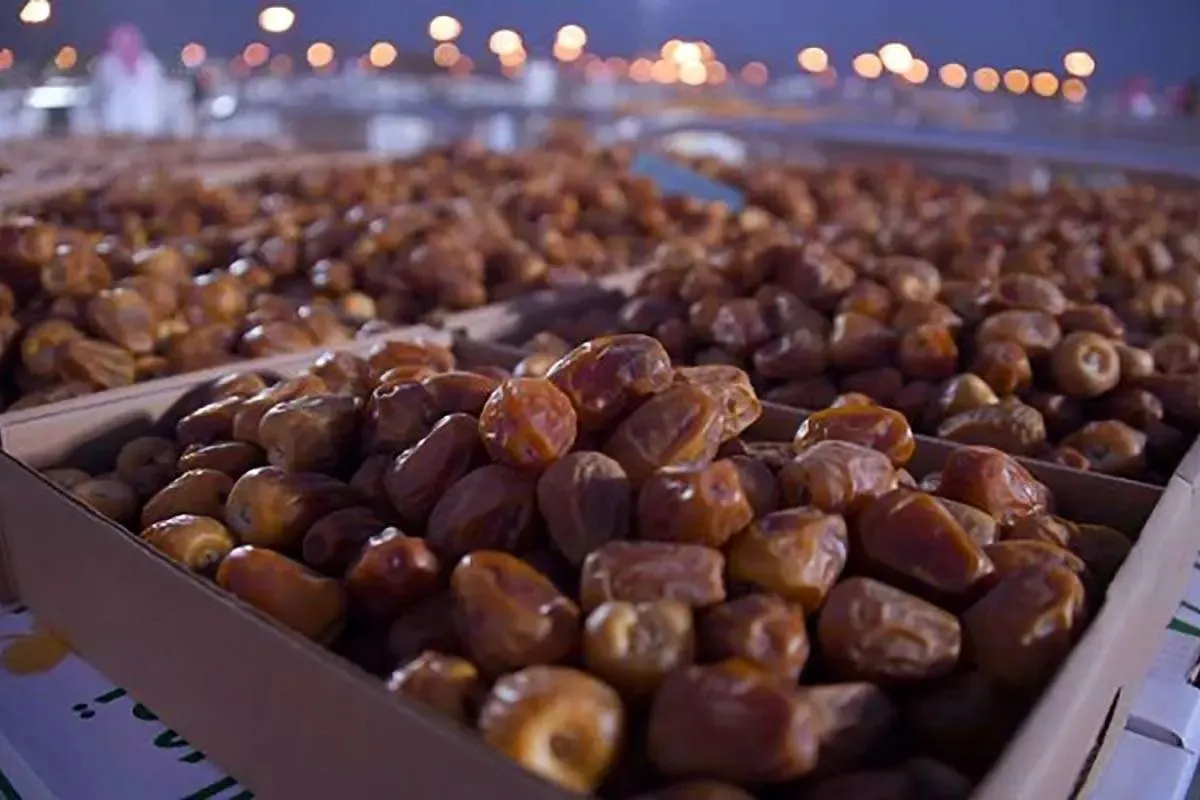 نعیمه نظام‌دوست