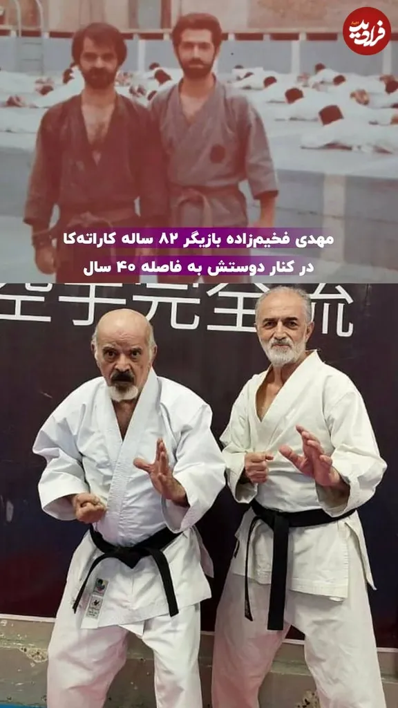 حیوان