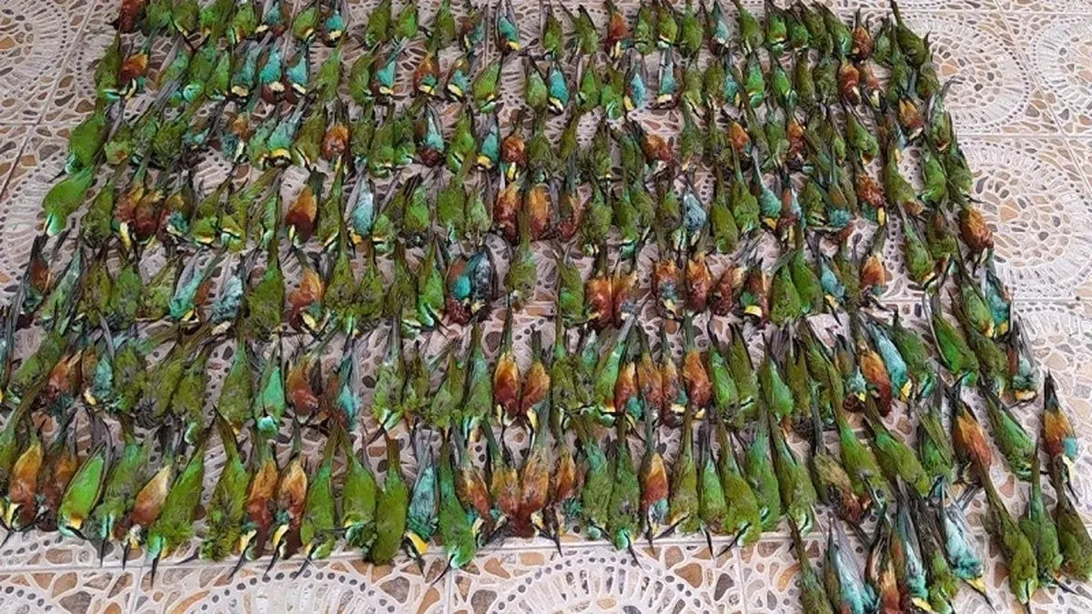 غیرحضوری