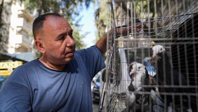 07 17 03 AA 35905688