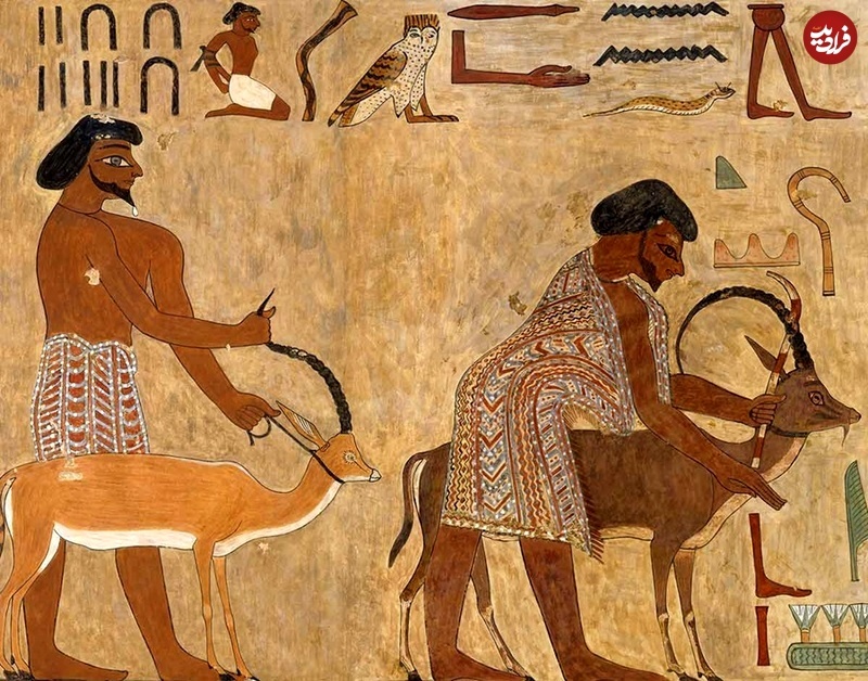 سینوهه مصری