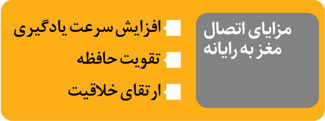 مغز انسان