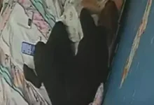 6710a370031ae244b1369e8b