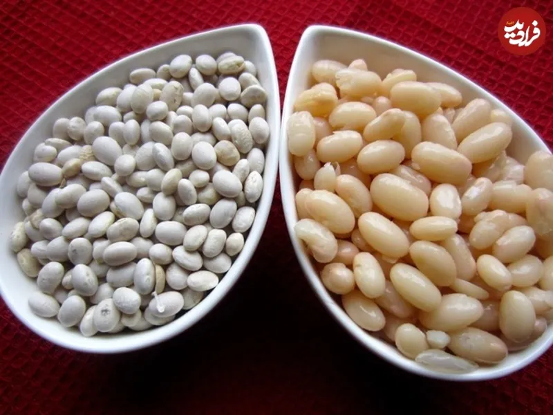 انواع لوبیا