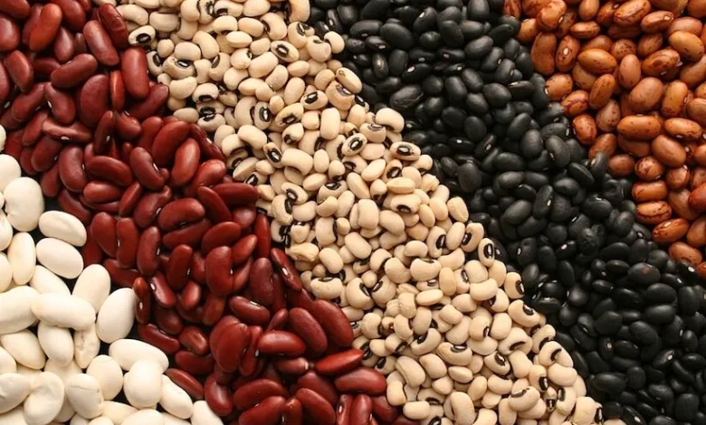 انواع لوبیا