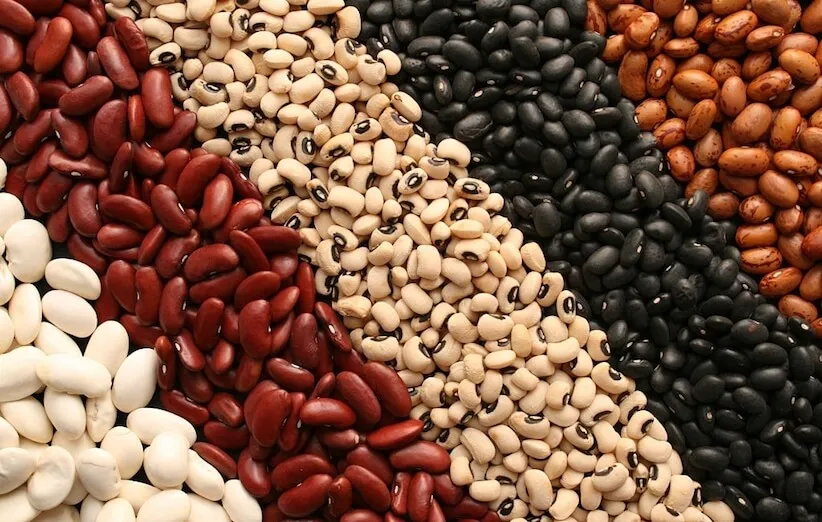 این اَبَرغذای شگفت‌انگیز هرکدام از انواع لوبیا چه خواصی دارند؟9