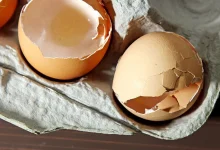 پاشیدن روغن