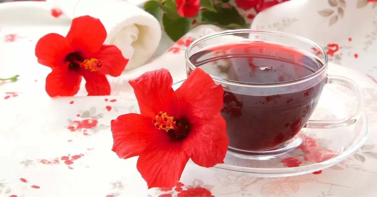 بهترین انواع چای
