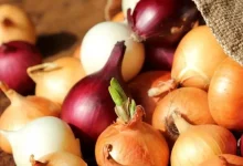 کوبیده بدون گوشت