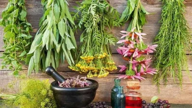 درمان بیماری‌ های فصل سرما با طب ایرانی