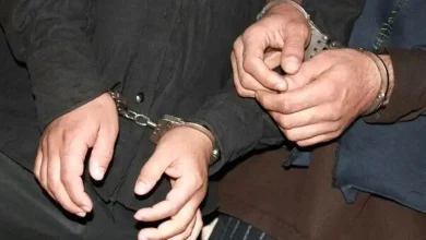 صادرات فولاد