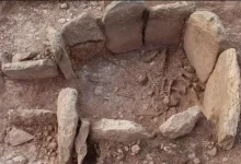 گور دسته‌جمعی