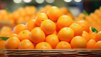 روش های نگهداری پرتقال در نایلون با ماندگاری بالا1