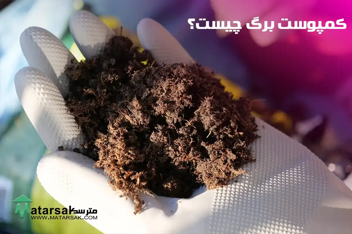 کود کمپوست با برگ های پاییز