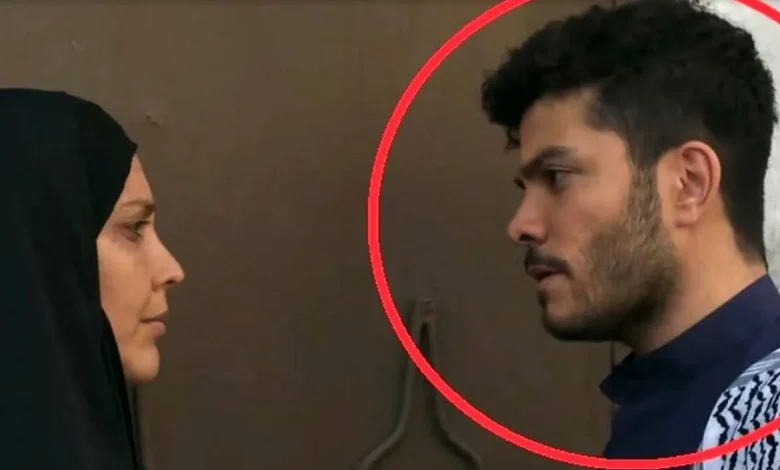 سلیم