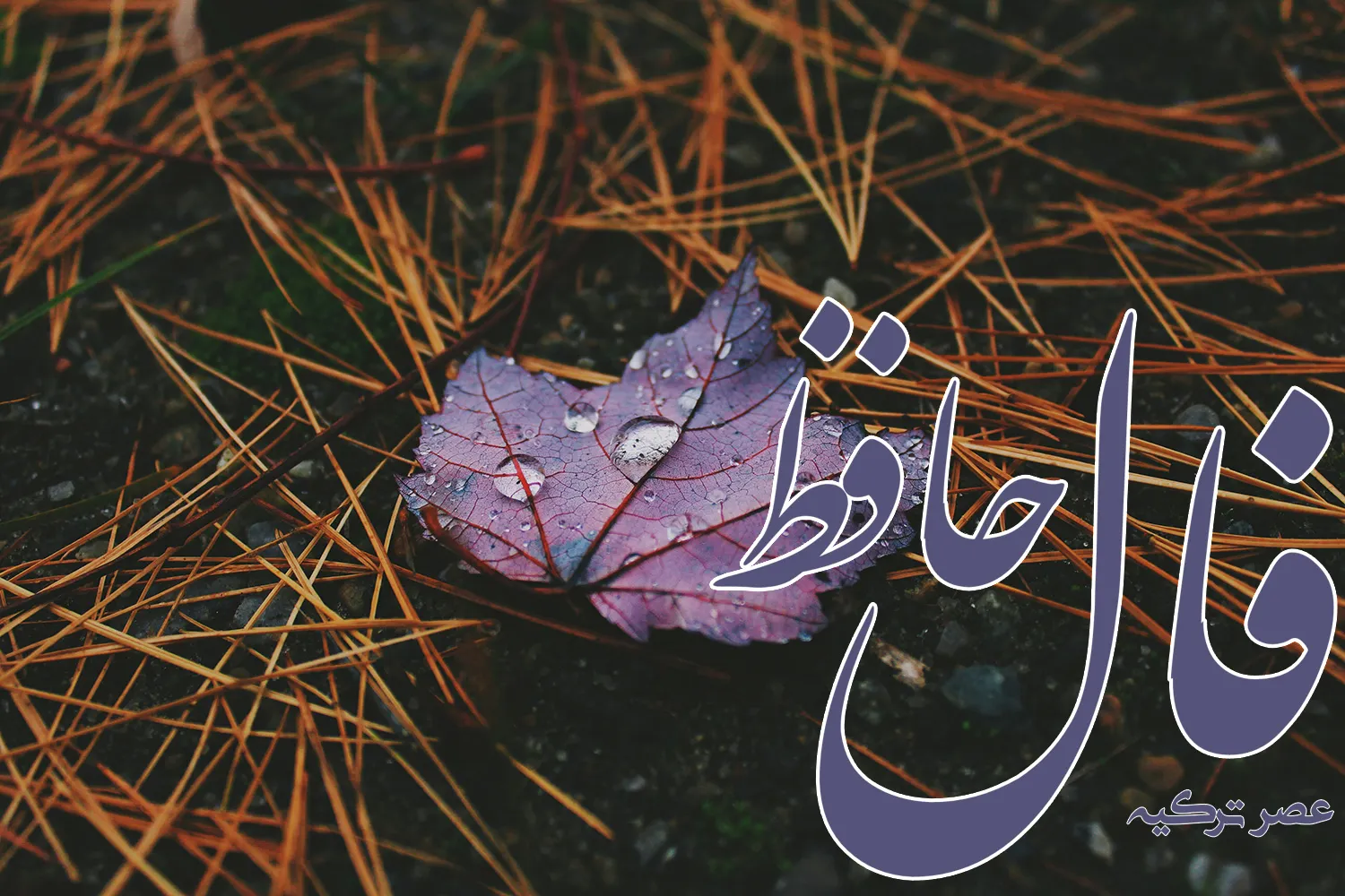 فال حافظ 22 مهر 1403