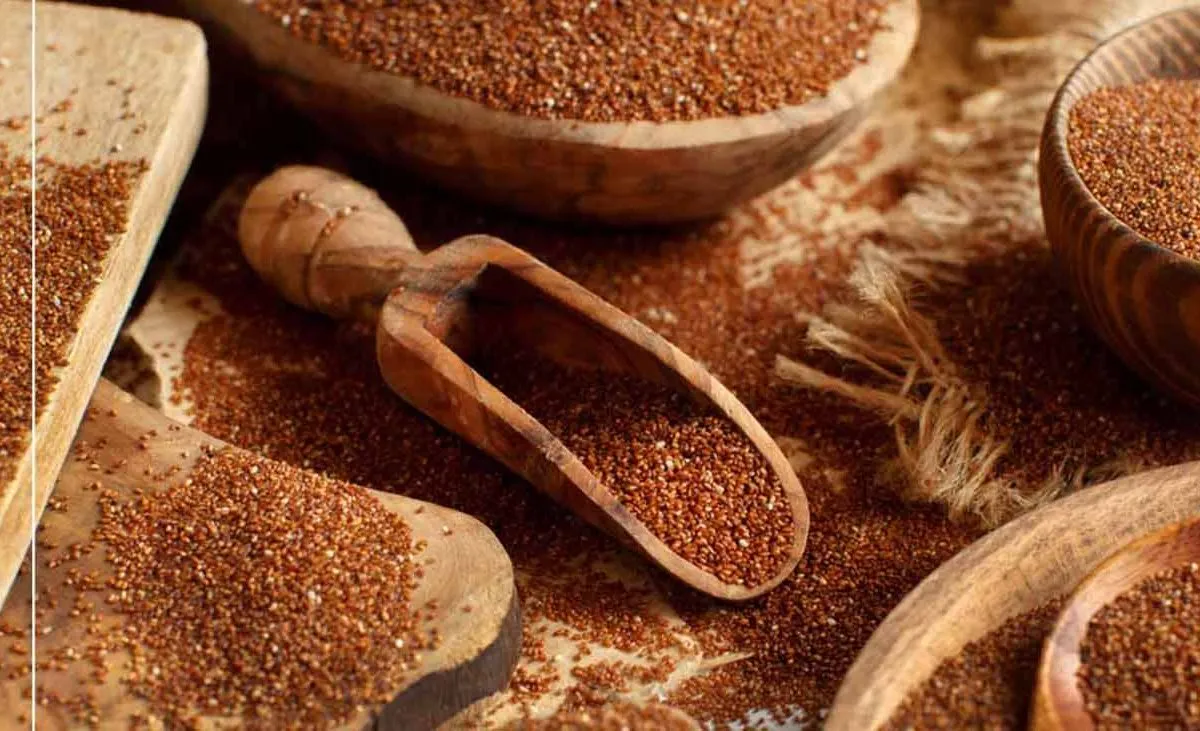 فواید فوق‌العاده خاکشیر برای پوست و مو1