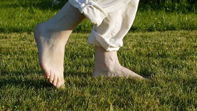 فواید پیاده‌روی با پای برهنه روی چمن1