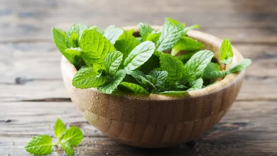 نعناع