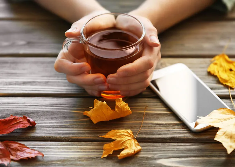 چای‌های گیاهی