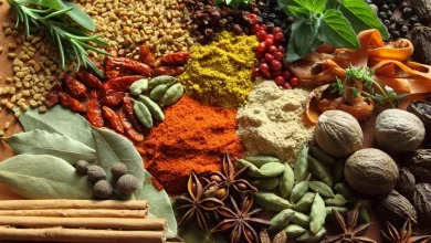 گیاهان و ادویه‌ ها